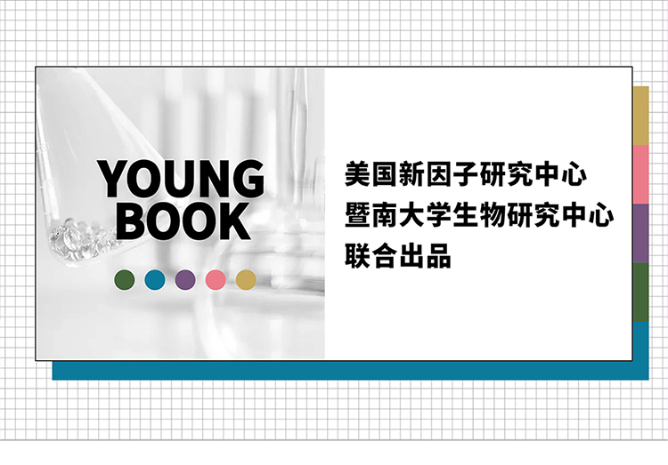 内容图片