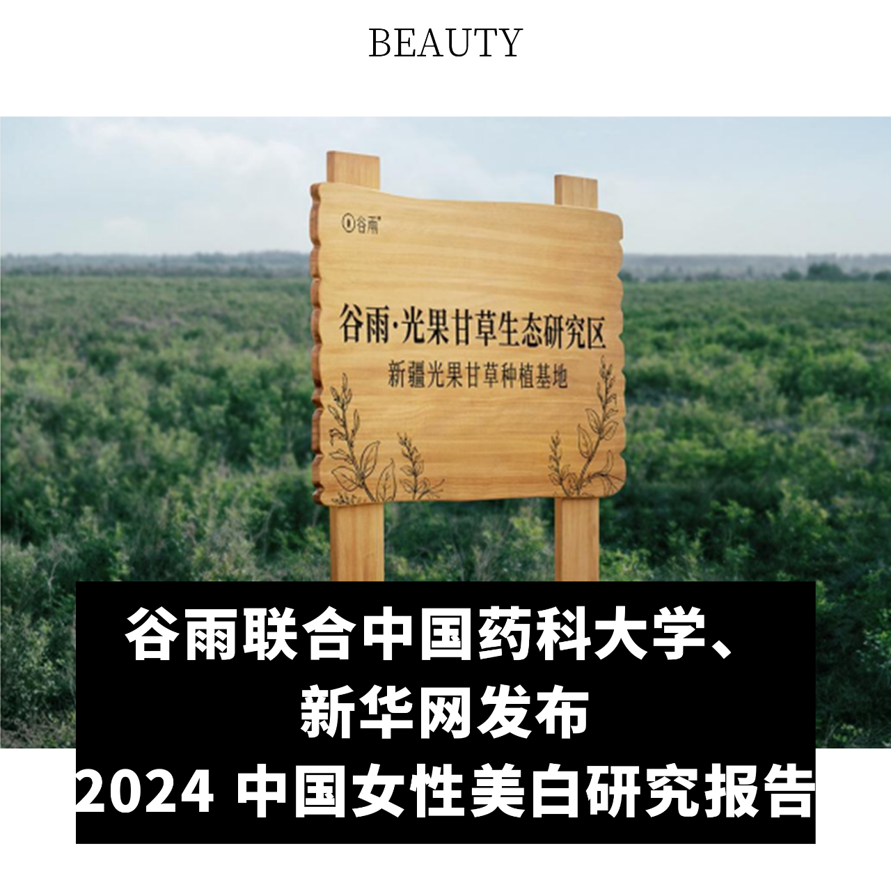 内容图片
