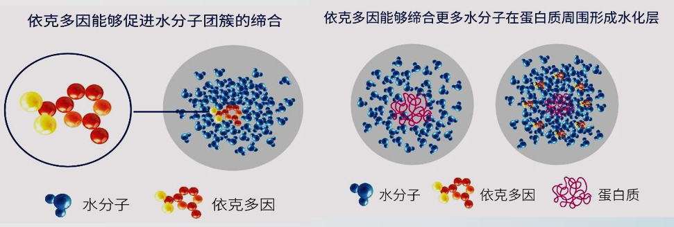 内容图片