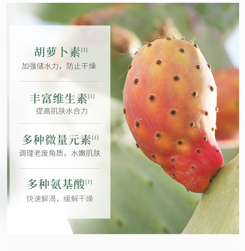 内容图片