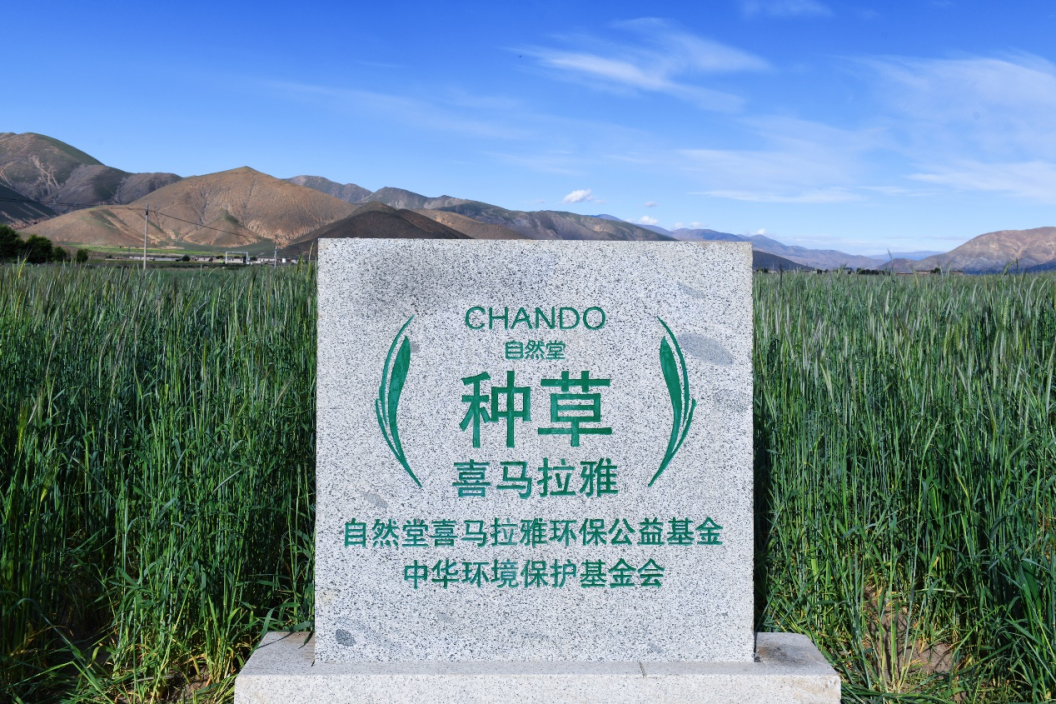 内容图片