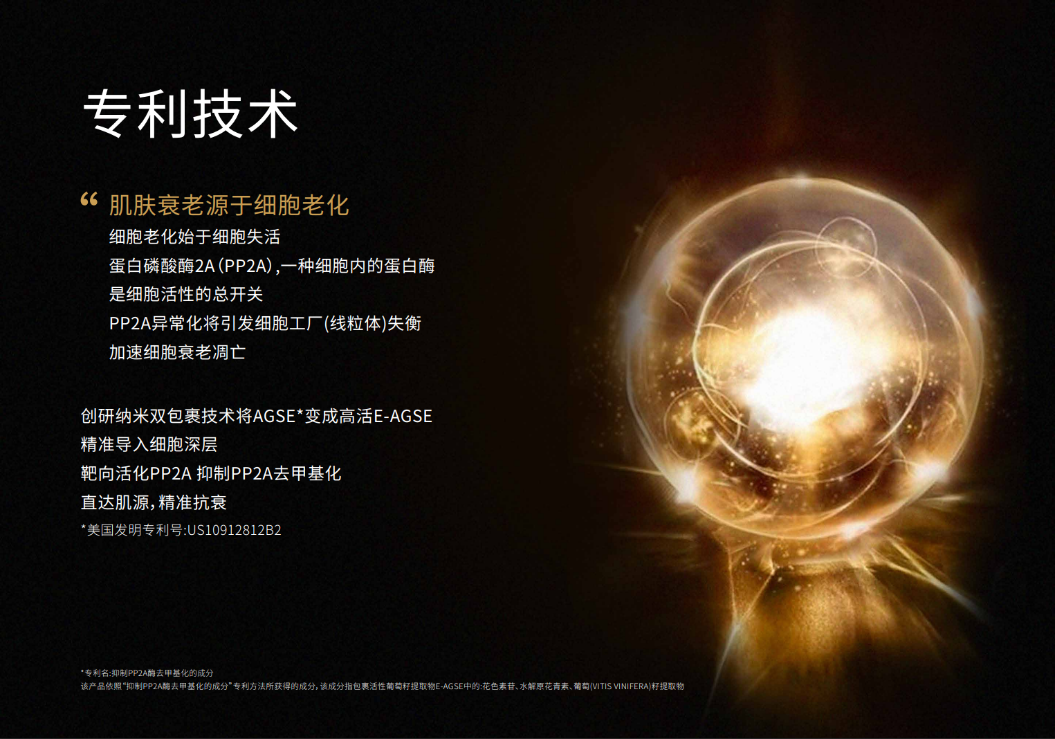 PP2A品牌资料长图