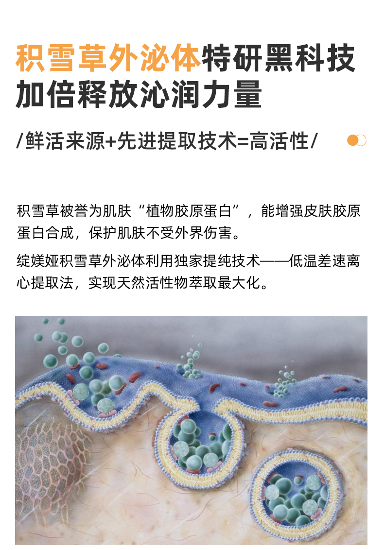 内容图片
