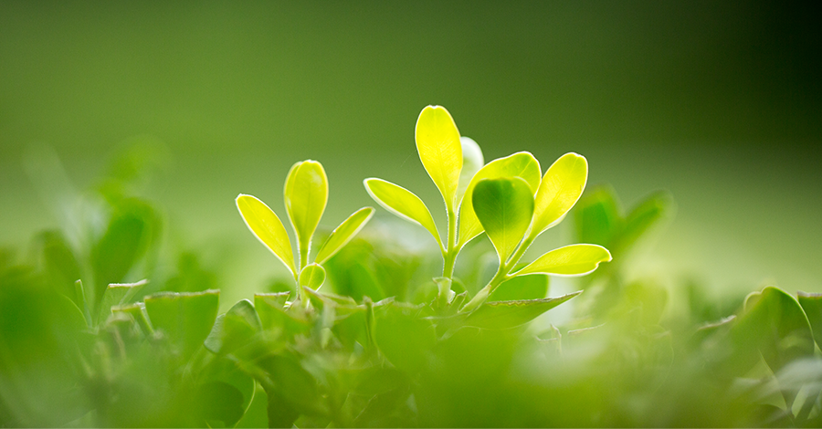 创美中植企业展示