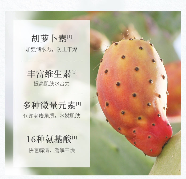 内容图片