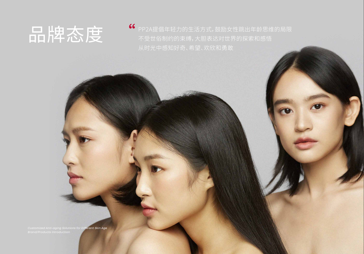 PP2A品牌资料长图