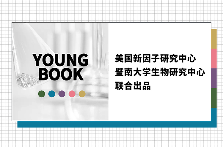 内容图片