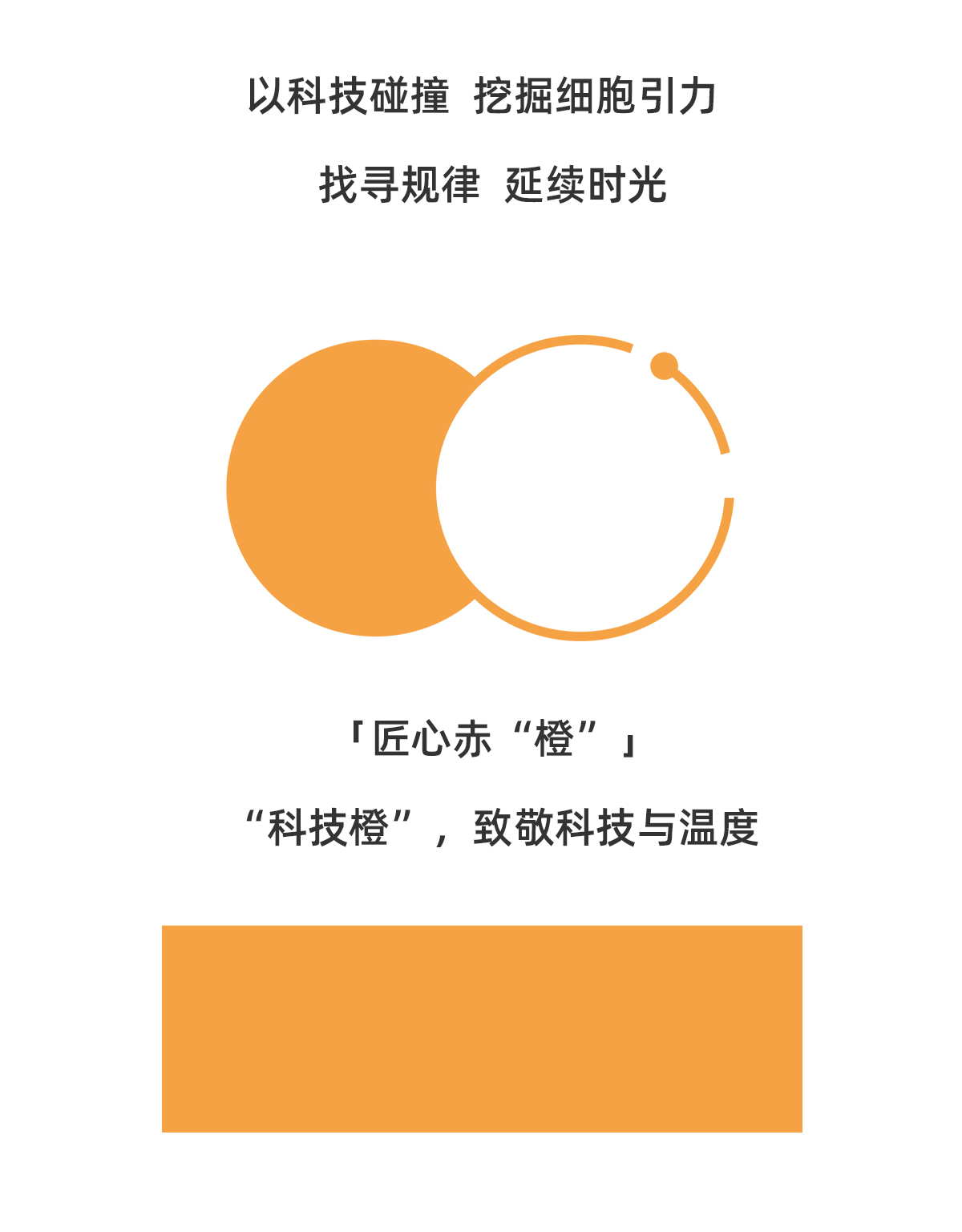 绽媄娅品牌资料长图