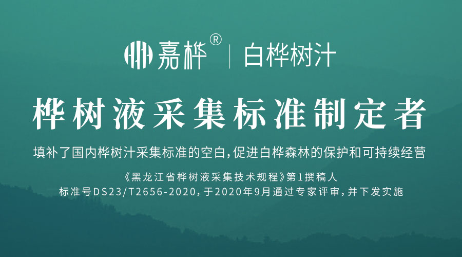 嘉桦白桦树汁企业展示