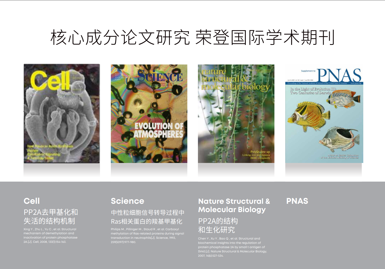 PP2A品牌资料长图