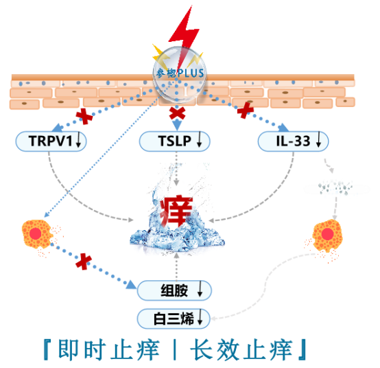内容图片