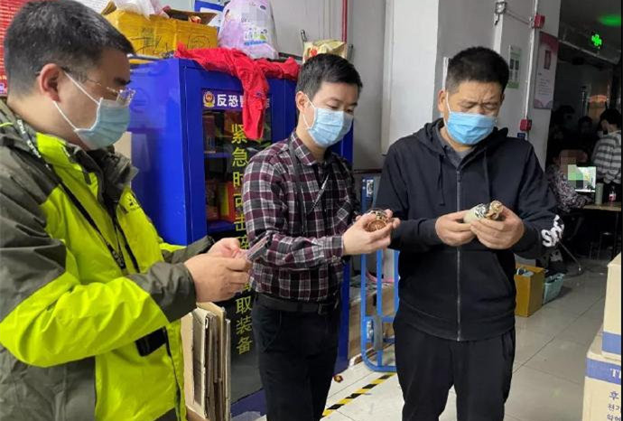 内容图片