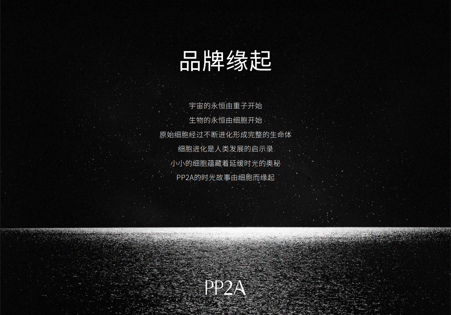 PP2A企业介绍长图