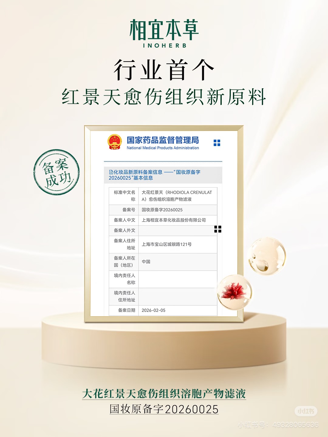 内容图片