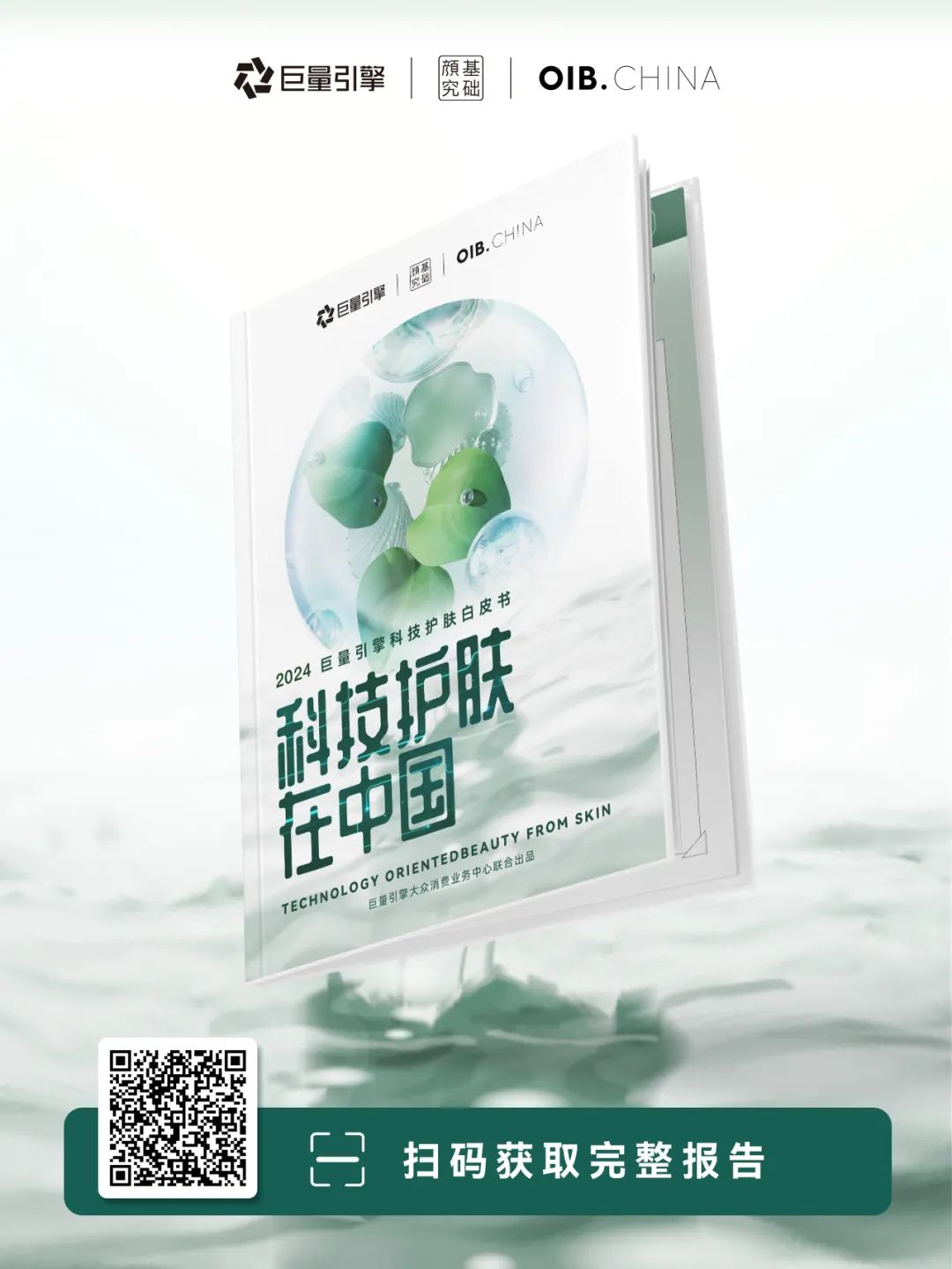 内容图片