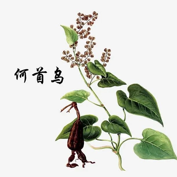 内容图片