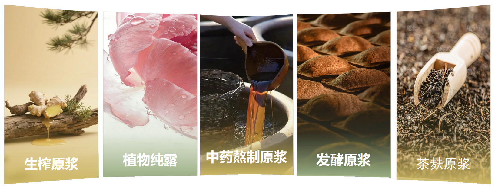 内容图片