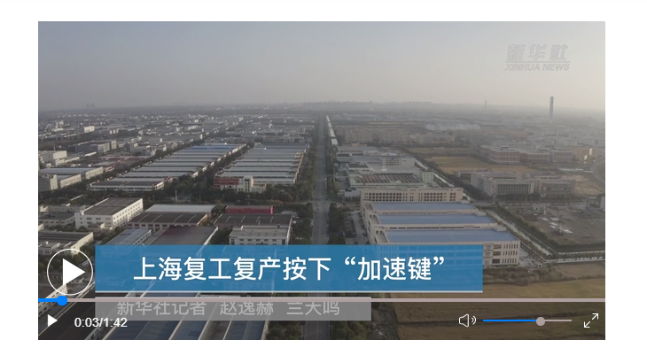 内容图片
