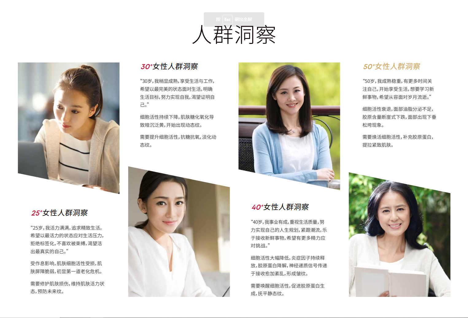 PP2A品牌资料长图