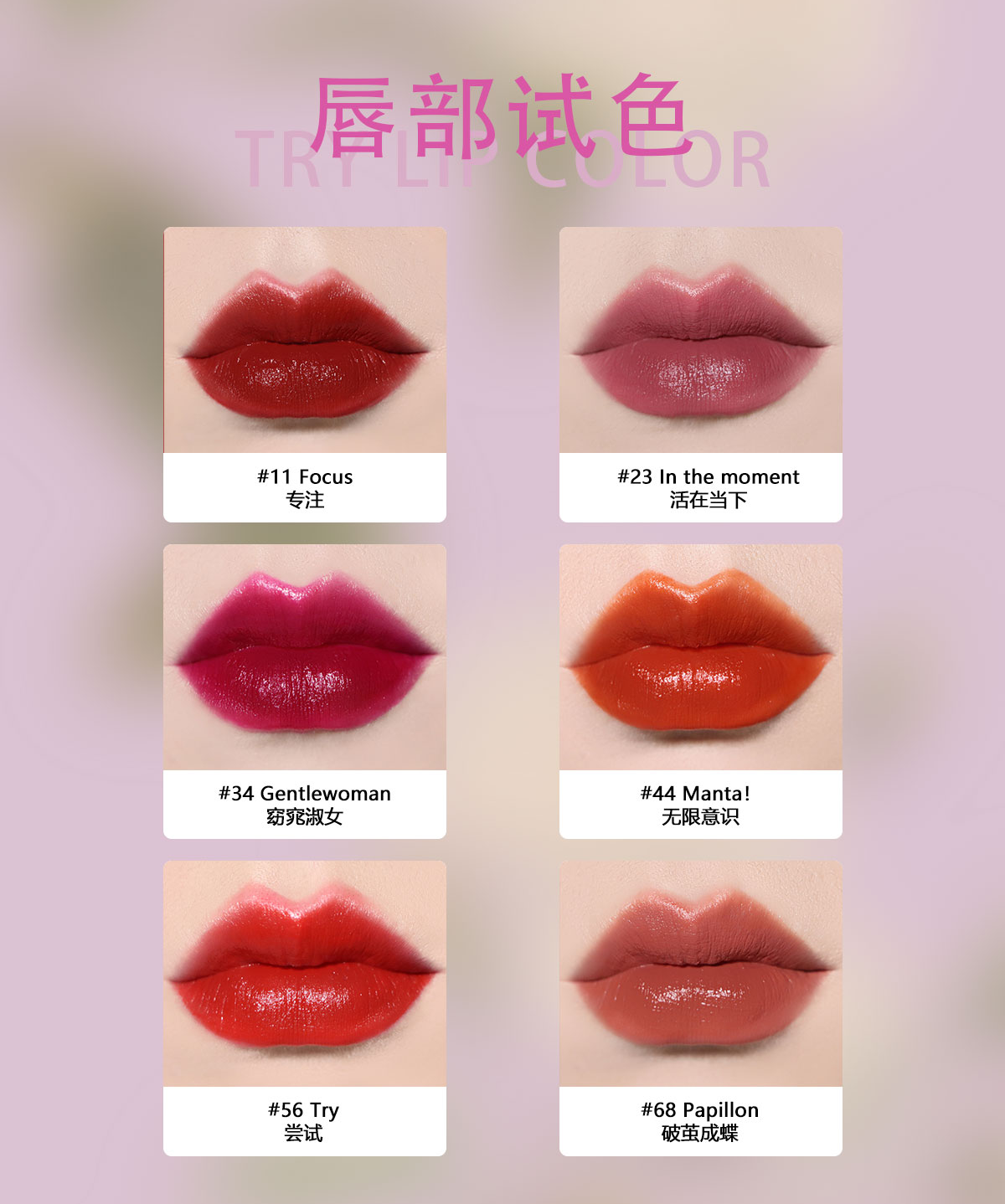 内容图片