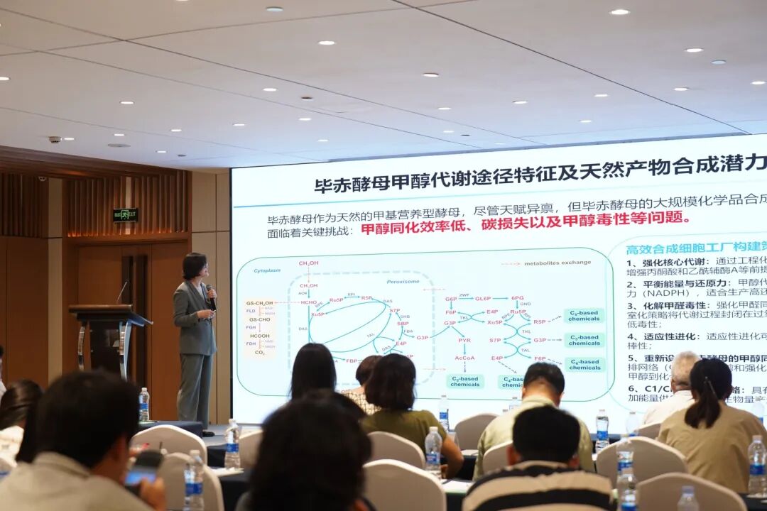 内容图片