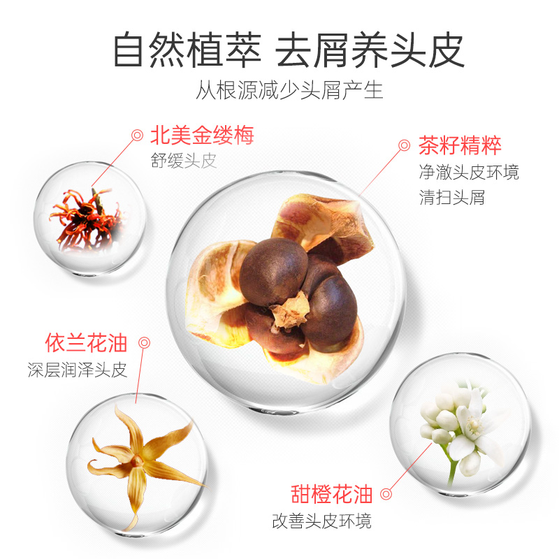 内容图片