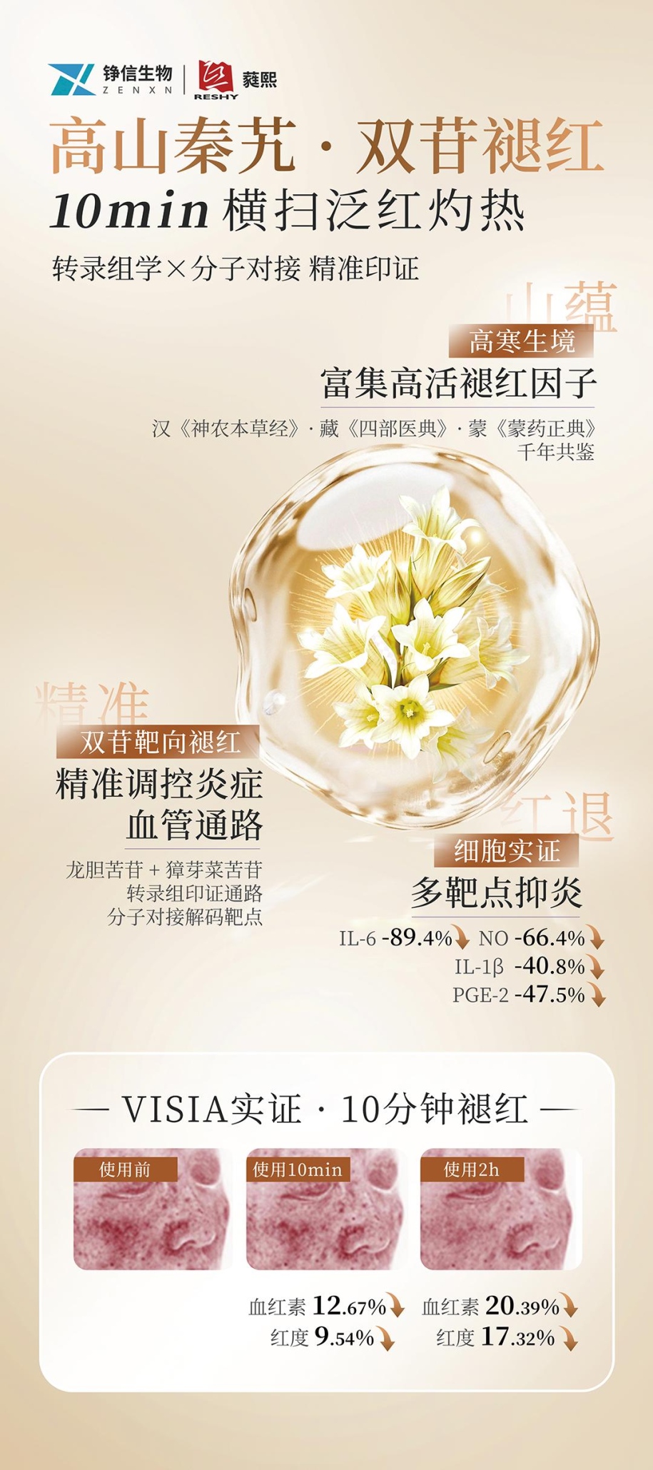 内容图片
