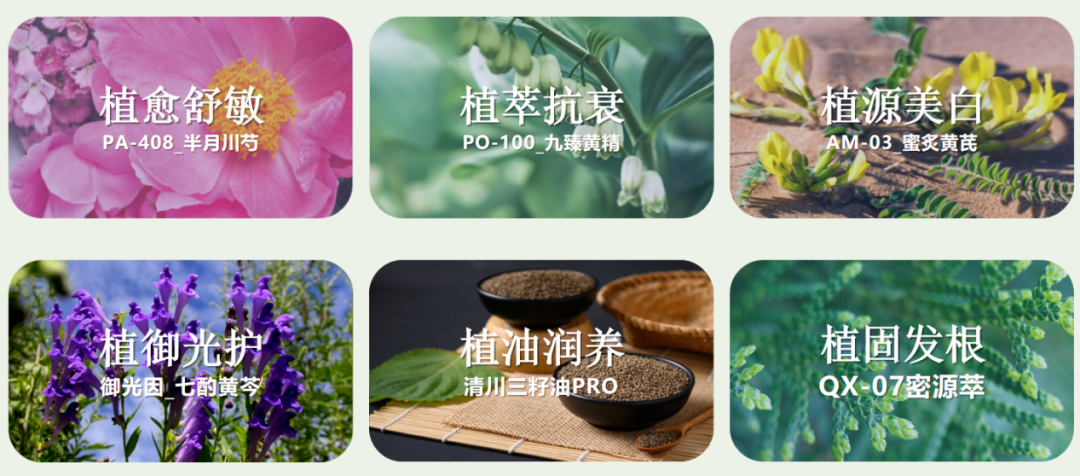 内容图片