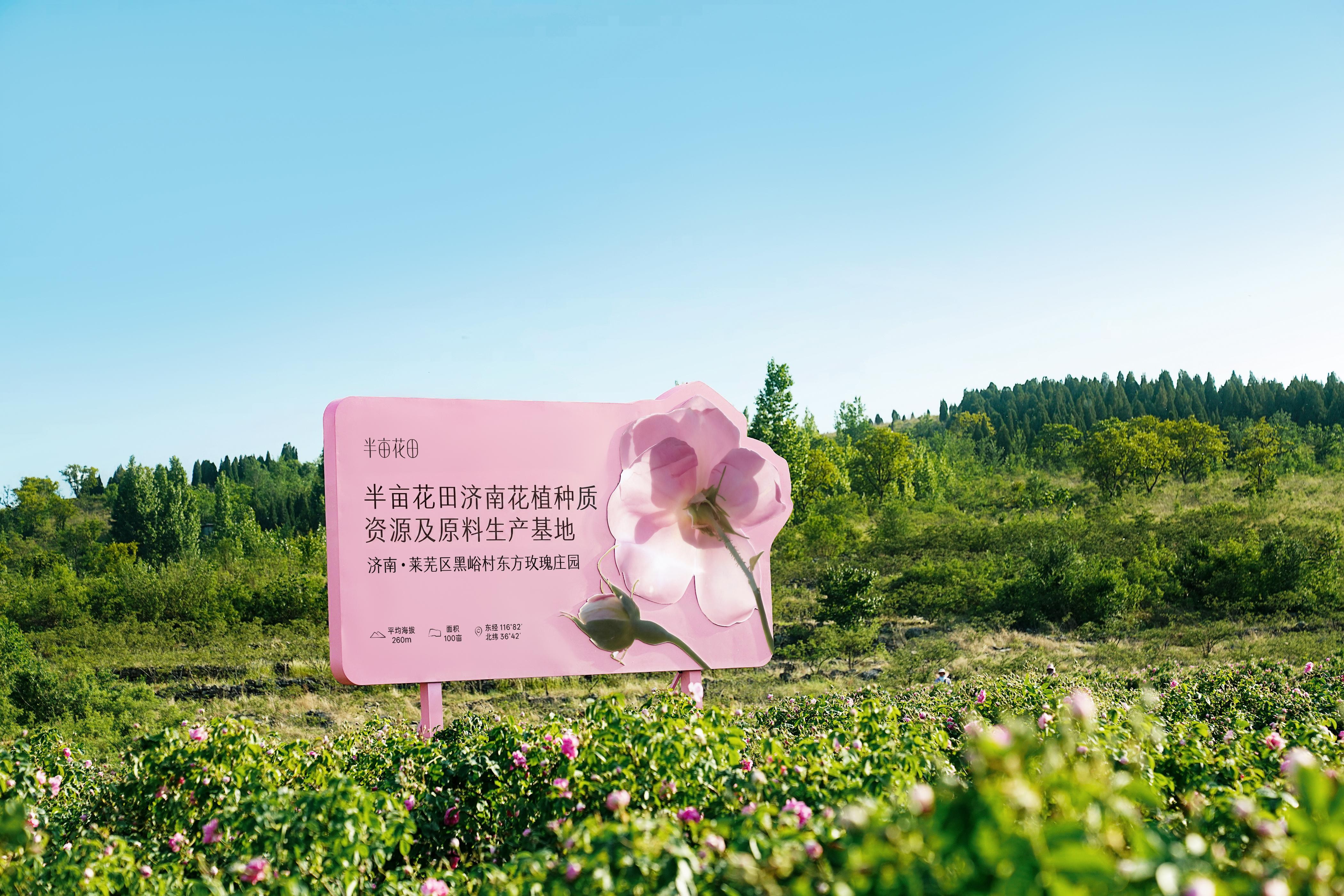 内容图片