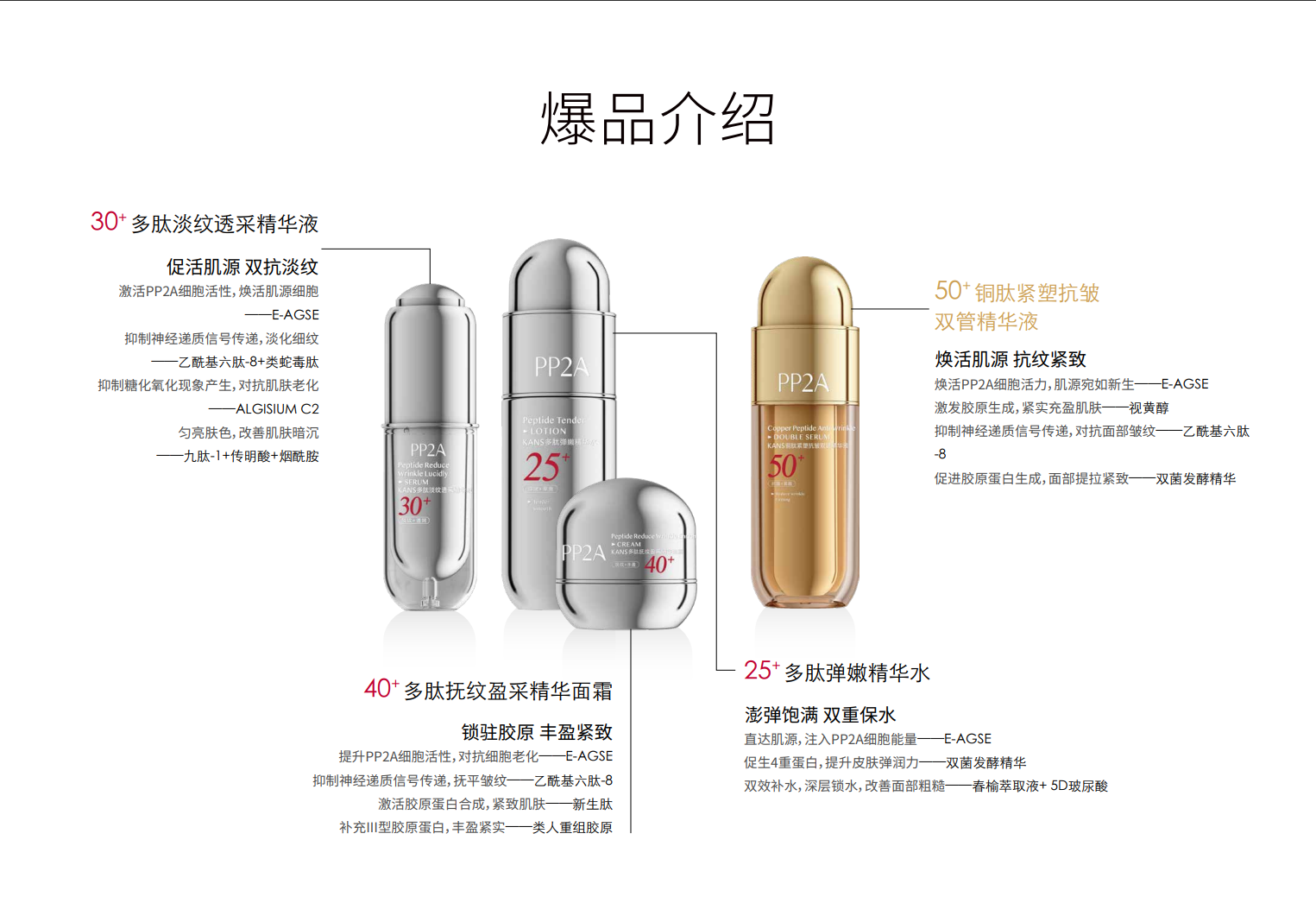 PP2A品牌资料长图