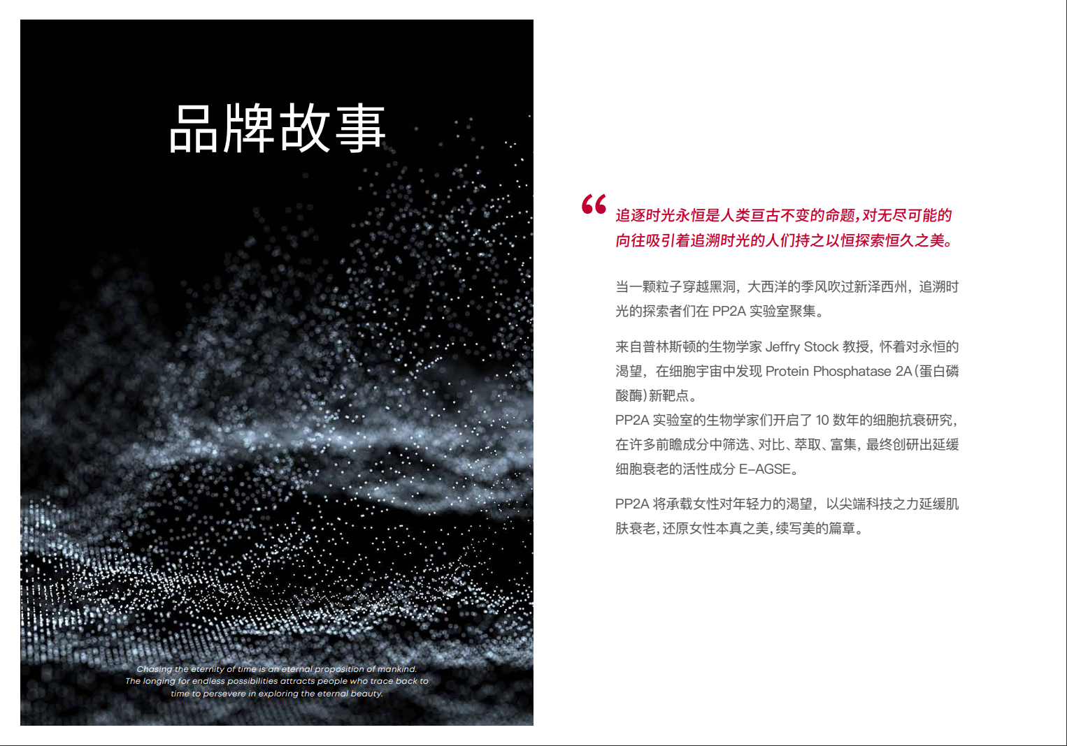 PP2A品牌资料长图