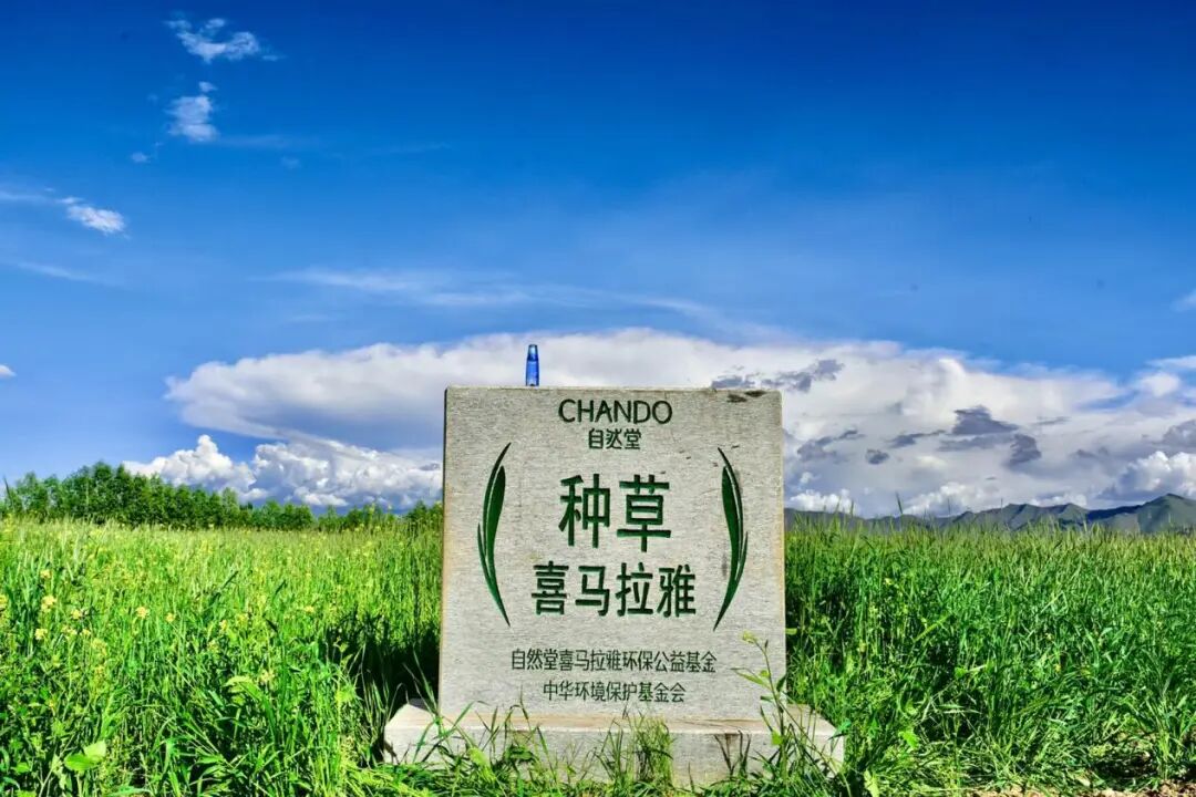 内容图片