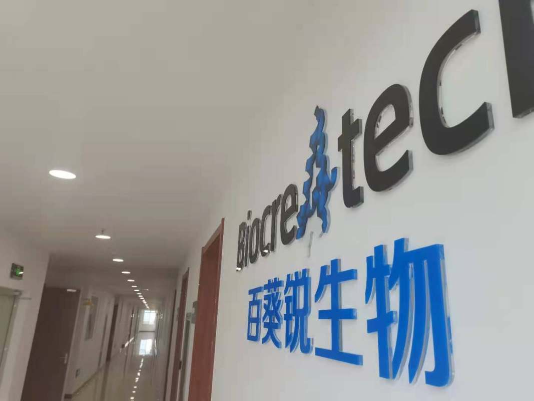 内容图片