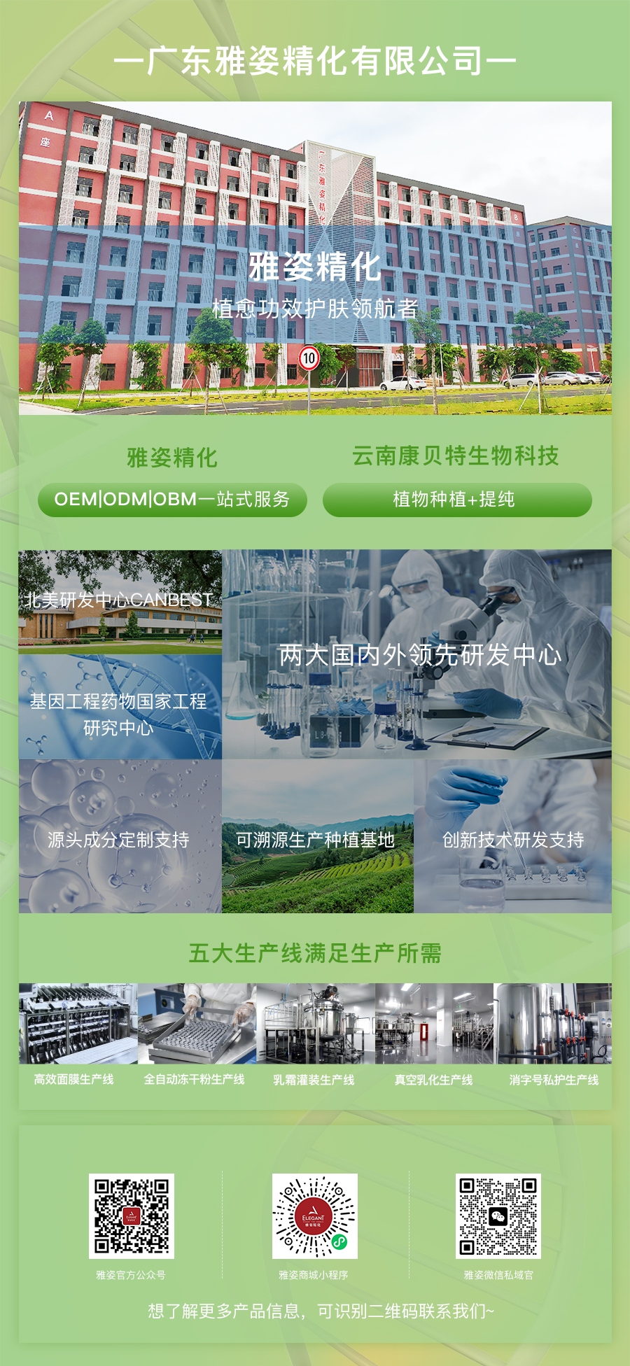 雅姿精化企业介绍长图