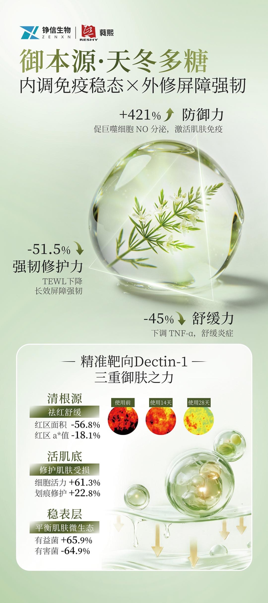内容图片