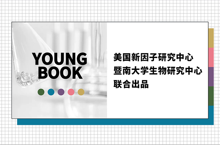 内容图片