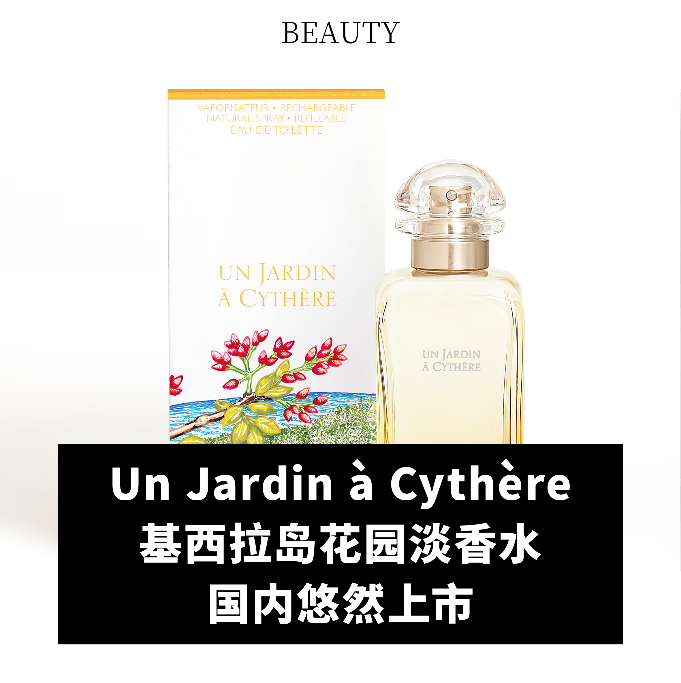 内容图片
