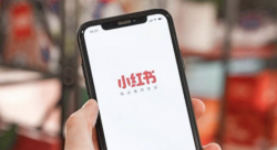 内容图片