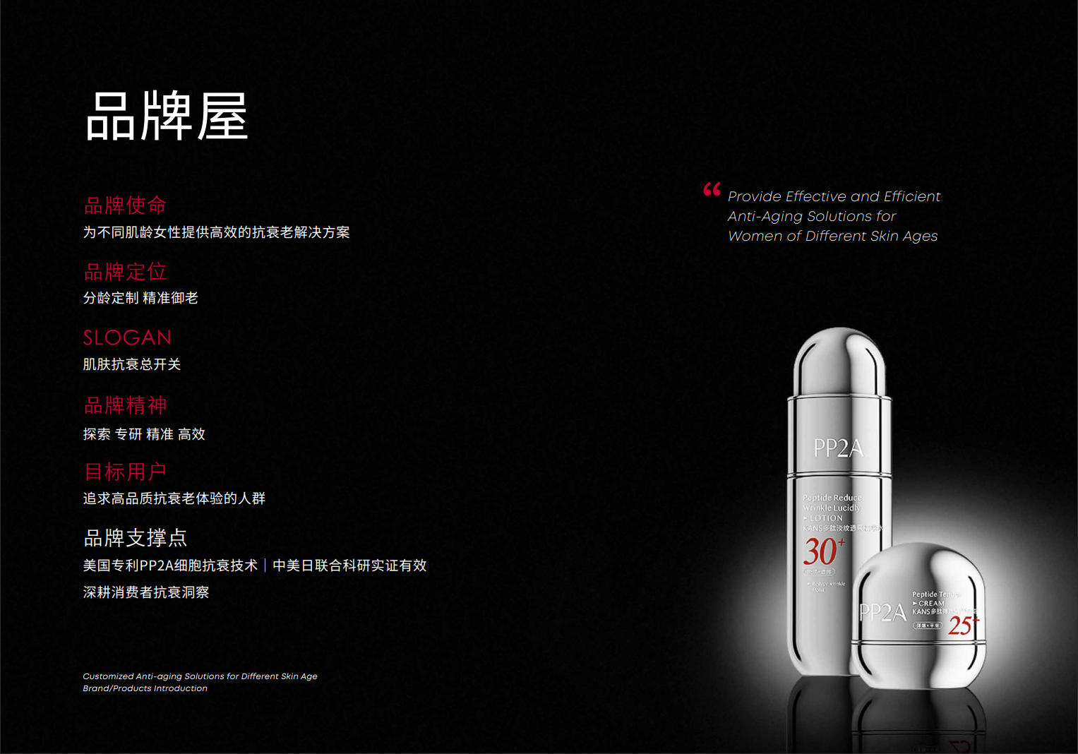 PP2A品牌资料长图
