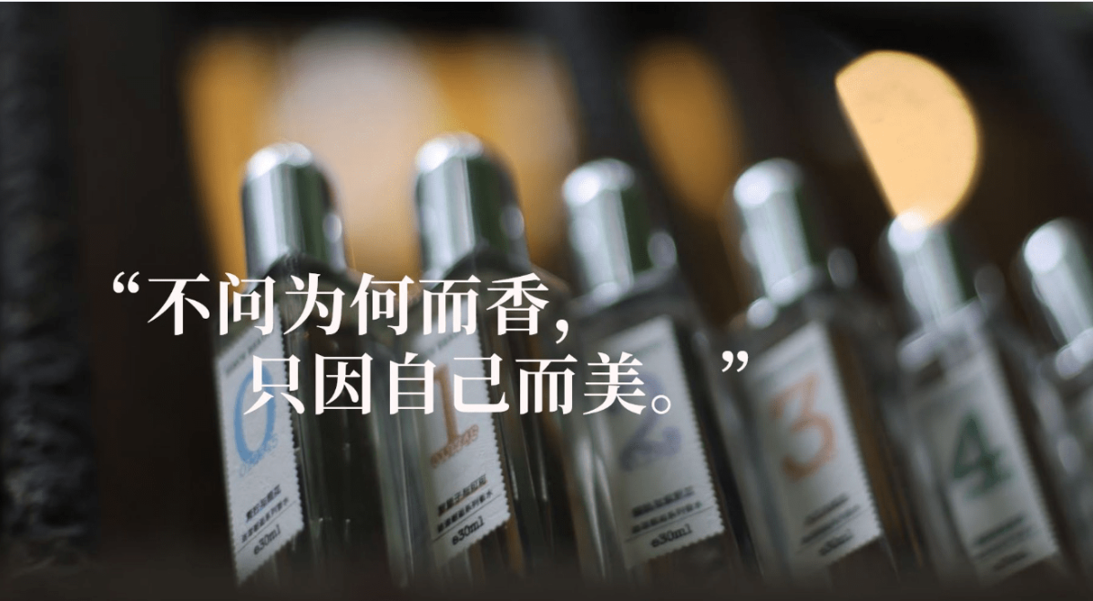SINCE BEAUTY企业展示
