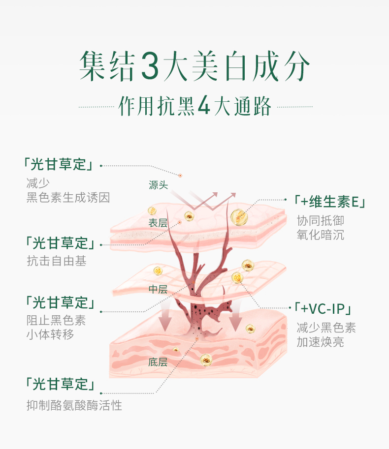 内容图片