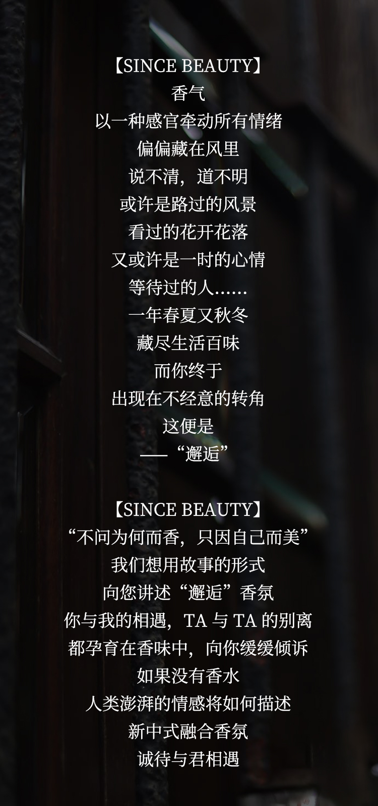 SINCE BEAUTY企业介绍长图