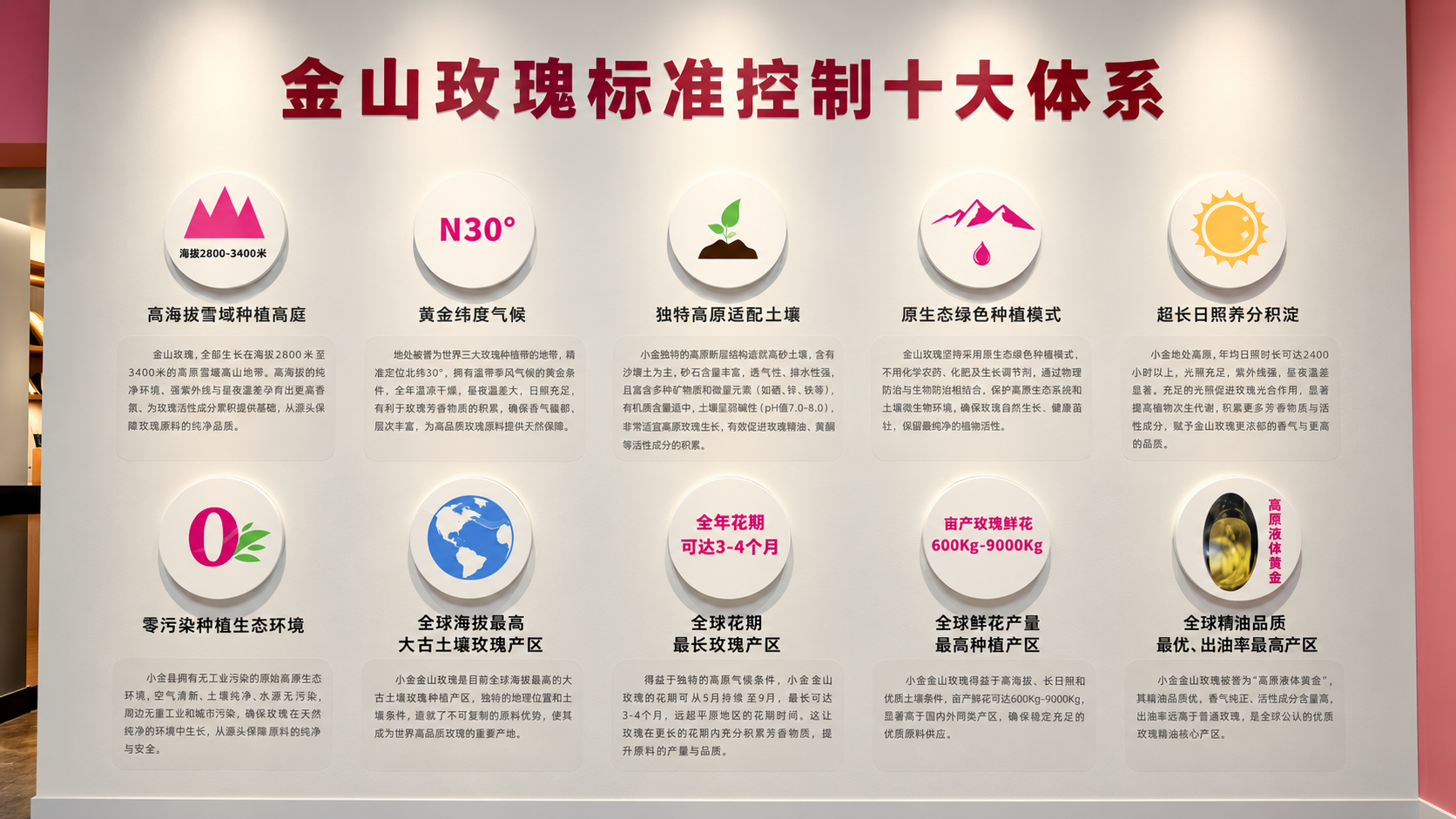 内容图片