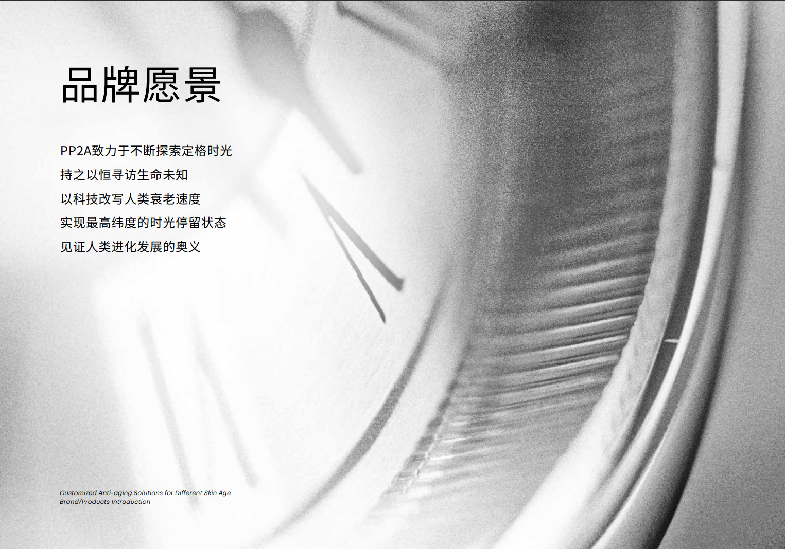 PP2A品牌资料长图