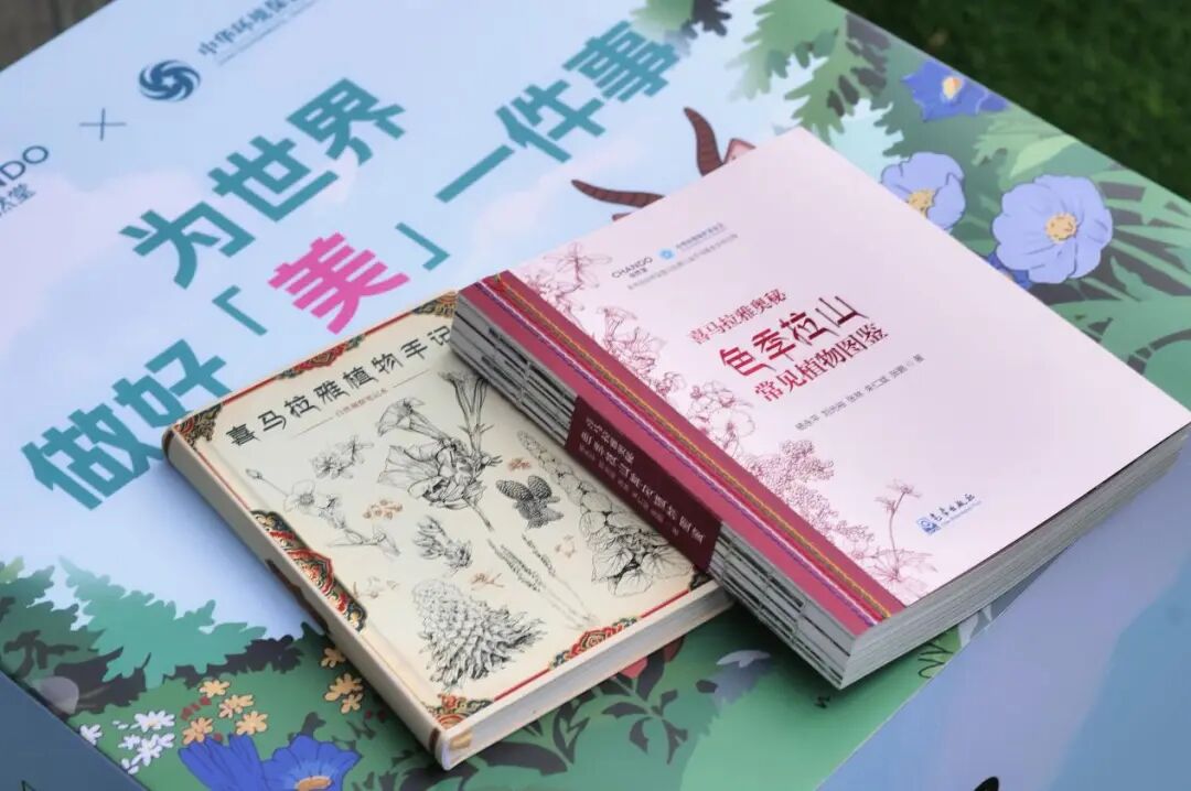 内容图片