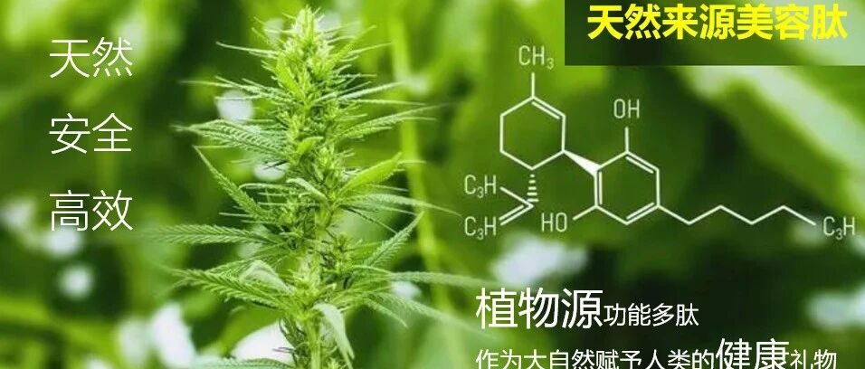 超级爆品，“肽”能赢！| 前沿⑩