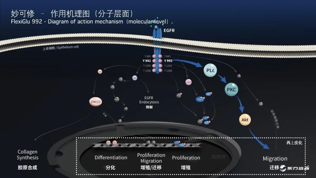 内容图片
