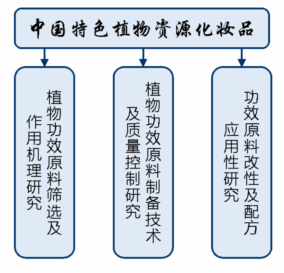 内容图片