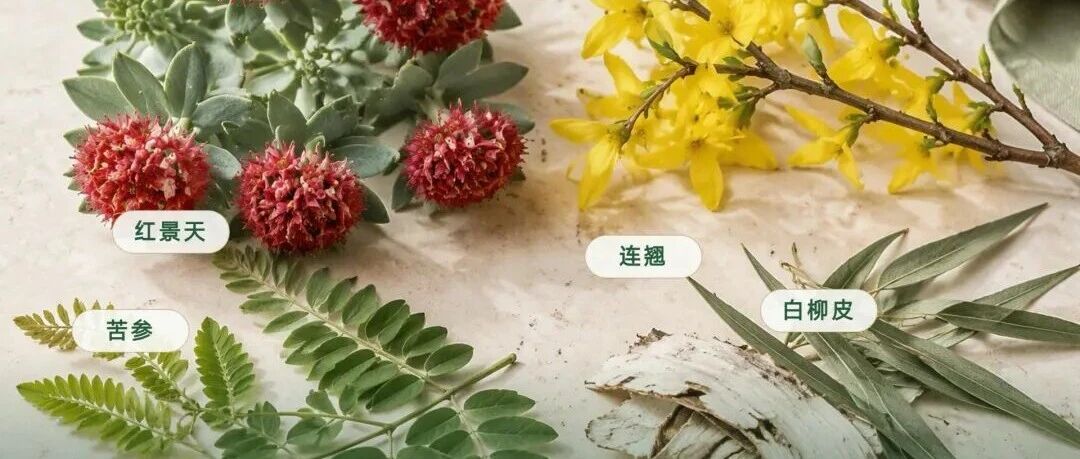 金植奖专访 | Golmod®-高原控油净：以极端高原活性，重塑精准控油新范式