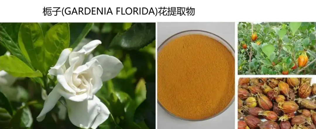 内容图片